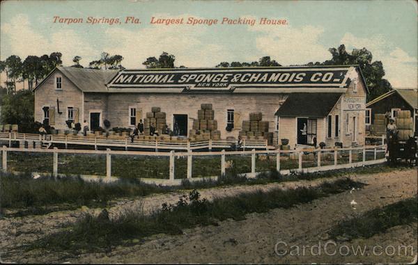 Largest Sponge Packing House, National Sponge & Chamois Co. Tarpon Springs Florida