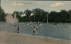 Riverside Park Holyoke, MA Postcard Postcard Postcard