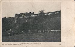The Trestle, Brainard Sta. New York Postcard Postcard Postcard