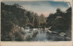 The Picturesque Octoraro-The Pool Oxford, PA Postcard Postcard Postcard