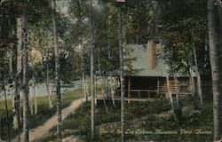 One of the Log Cabins Postcard
