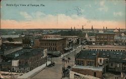 Bird's Eye View of Tampa, Fla. Postcard