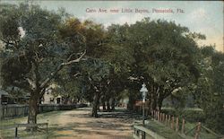 Caro Ave. Near Little Bayou Pensacola, FL Postcard Postcard Postcard