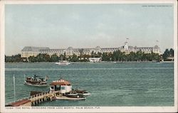The Royal Poinciana from Lake Worth Postcard