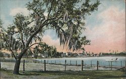 Lake Wire Postcard