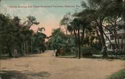 Volusia Avenue and Three-Branched Palmetto Daytona Beach, FL Postcard Postcard Postcard