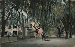 St. Johns Avenue, near Dixie Land Park Postcard