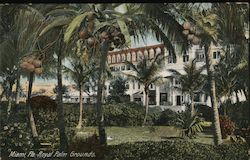 Royal Palm Grounds Miami, FL Postcard Postcard Postcard