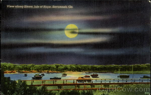 View Along Shore, Isle Of Hope Savannah Georgia