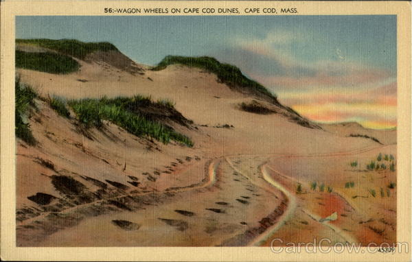 Wagon Wheels On Cape Cod Dunes Massachusetts