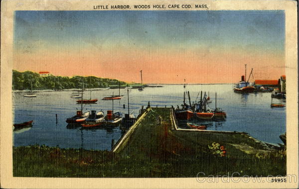 Little Harbor Woods Hole Massachusetts