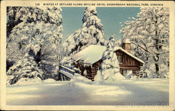 Winter At Skyland Along Skyline Drive, Shenandoah National Park
