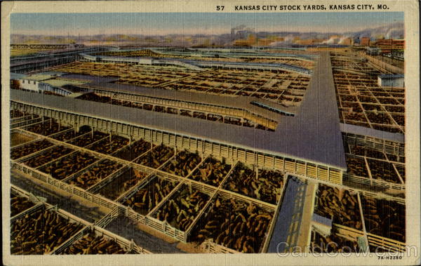 Kansas City Stock Yards Missouri