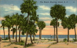 The Beach The Beach