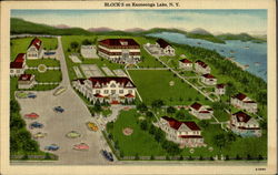 Blocks On Kauneonga Lake Postcard