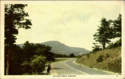 Skyline Drive Postcard