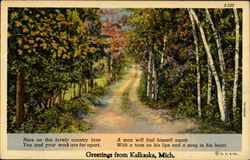 Greetings From Kalkaska Postcard
