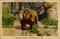 Greetings From Canistota Postcard