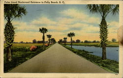 Palm Lined Boulevard Entrance To Folly Beach Postcard