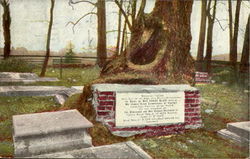 Graveyard At Jamestown Postcard