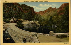 In Sabino Canyon Postcard