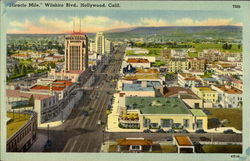Miracle Mile, Wilshire Blvd Postcard