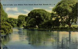 View Of Lake Near Athletic Field, Branch Brook Park Newark, NJ Postcard Postcard