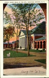 Lovely Shady Walk At The Spa Postcard