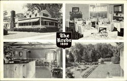 The Krebs The Krebs