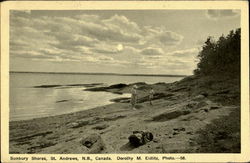 Sunbury Shores St. Andrews, NB Canada New Brunswick Postcard Postcard