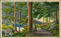 Approaching The Tarn, Acadia National Park Postcard