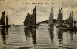 Sail Boats At Anchor Postcard