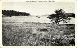 Orcutts Harbor Brooksville, ME Postcard Postcard