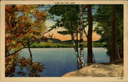 View On The Lake New Sharon, ME Postcard Postcard