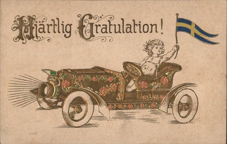 A Girl In a Car Holding a Flag Girls