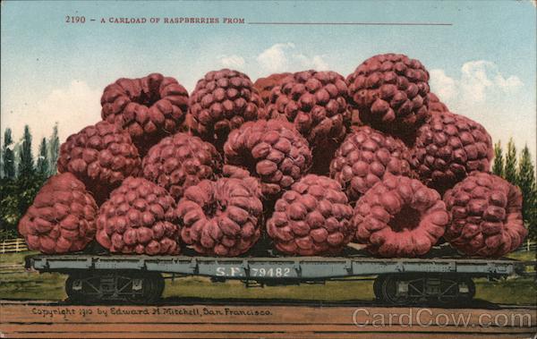 A Carload of Raspberries Exaggeration