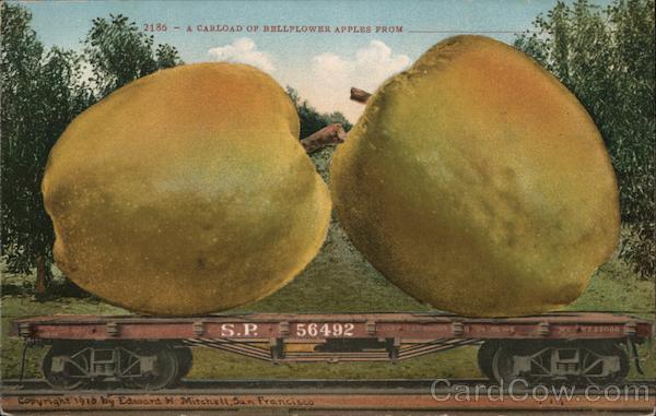 A carload of bellflower apples from... Exaggeration