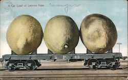 Railroad Car with Three Giant Lemons Postcard