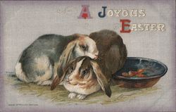 A JOYOUS EASTER - Two Bunnies, Bowl With Bunnies Postcard Postcard Postcard