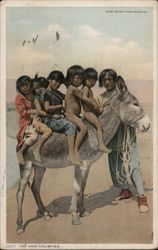 Hopi Children Riding a Donkey Postcard