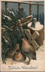 Trio of Birds w/ Tannenbaum / "Fröhliche Weihnachten!" Postcard