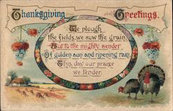 Thanksgiving Greetings Postcard