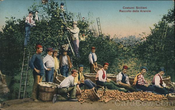 Costumi Siciliani. Raccotto della Arancia Italy