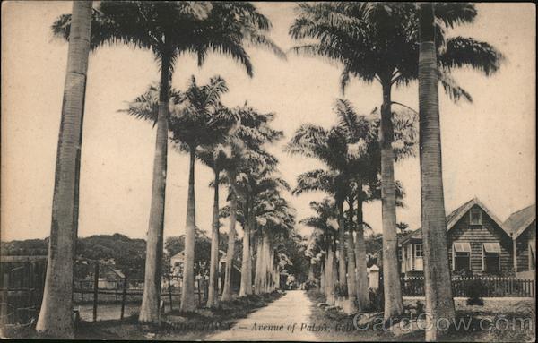 Bridgetown - Avenue of Palms Barbados Caribbean Islands