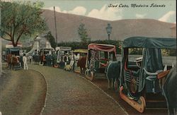 Sled Cabs, Madeira Islands Postcard