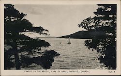 Campus in the Woods Lake of Bays, ON Canada Ontario Postcard Postcard Postcard