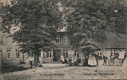 A. Mangels Gasthaus - Gruss aus Westersode Postcard