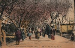 Cherry Blossom at Arakawa Postcard