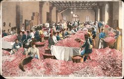 Rose-sorting room at Bruno Court perfume factory Grasse, France Postcard Postcard Postcard