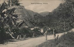 Road to Castleton, Jamaica Postcard